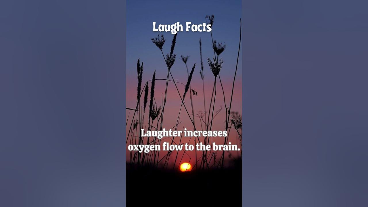 Mind Blowing Halococo Facts You Need To Know - uikfcfh