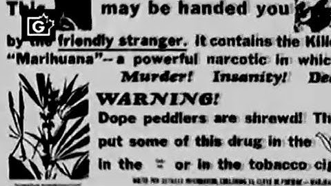 RSI - 2nd Year Mull Pig (Music Video)