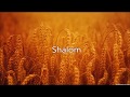 Shalom (Yebrayeren erg)