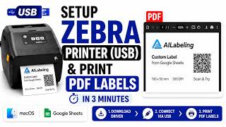 Zebra Printer Setup on Mac (USB) + Print PDF Labels (CUPS Guide)