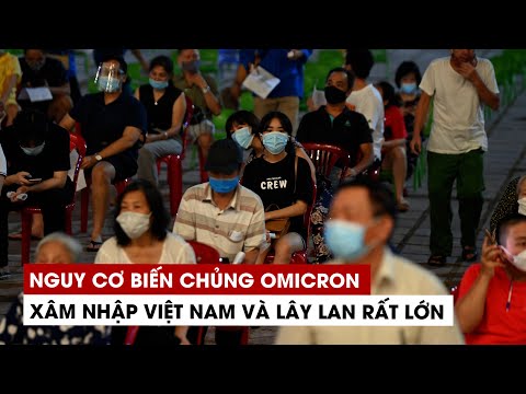 Video Nguy cơ biến chủng Omicron xâm nhập Việt Nam và lây... - youtube