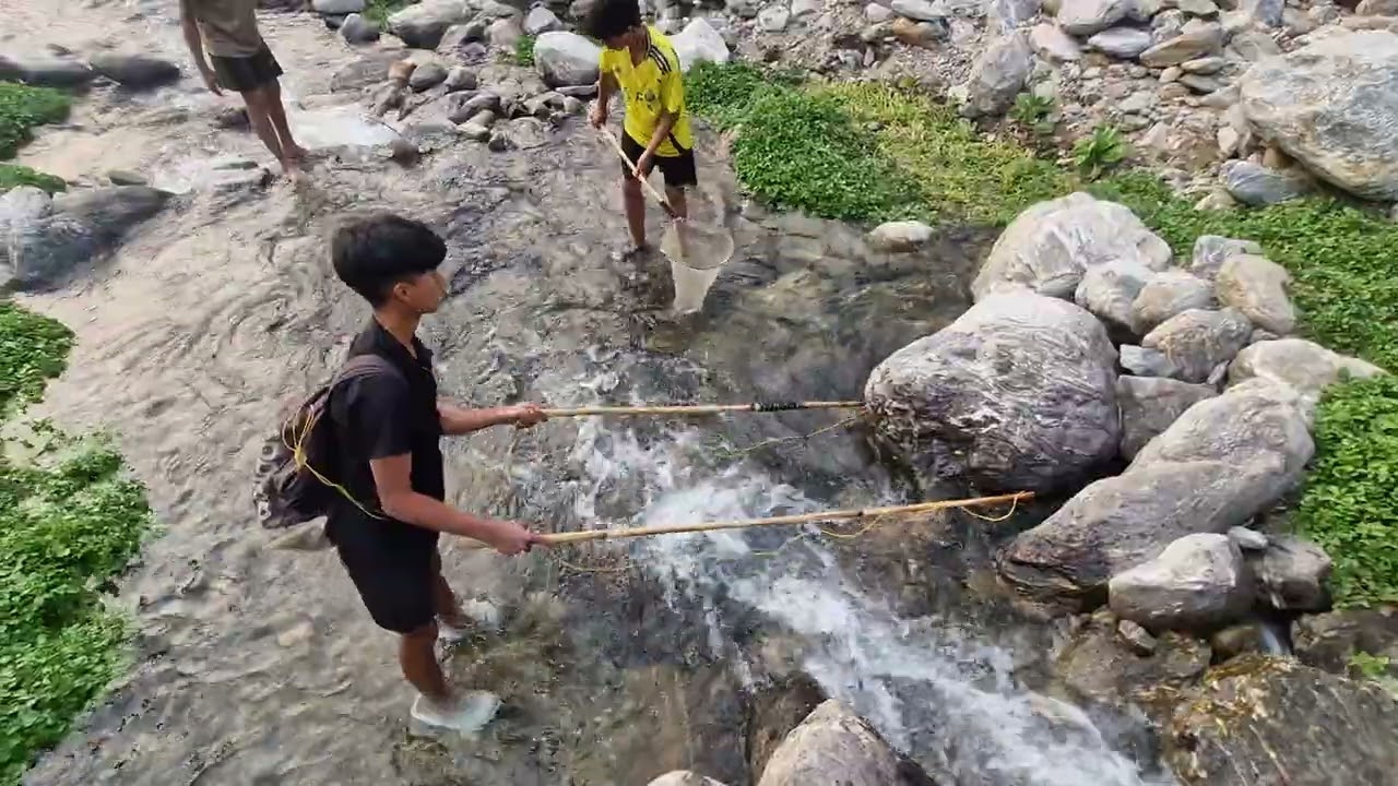 Fishing 🎣 in Himalayan river #Fishing #video #shorts #video #viralvideos #darjeeling 