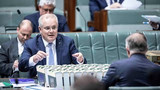 Morrison labels Albanese the 'biggest each-way operator' ahead of budget reply speech