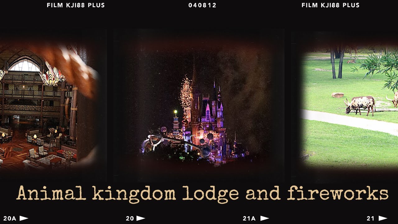 Animal Kingdom Lodge and Fireworks | 2021 - YouTube