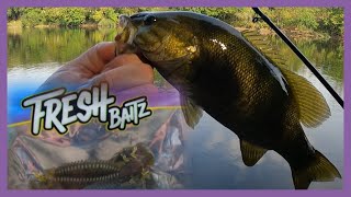 Fishing With Fresh Baitz Hellgrammites 