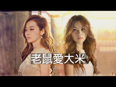 G.E.M.鄧紫棋【 老鼠愛大米 】Lyric Video 時代的記憶 老鼠愛大米13歲了