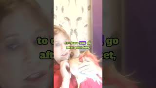 Meet the Playful Baby Amber Duck in Santa Outfit
