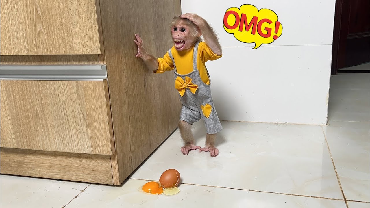 Full compilation! Memorable memories of Luk and dad 2024