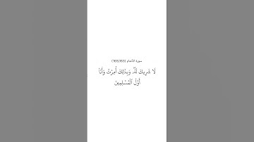 سورة الأنعام ١٦٣