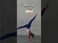 Abwechslung für dein #Handstandtraining 🙌🏼🙃 #handstandlernen