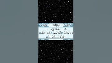 سورة الإخلاص بصوت القارئ الشيخ ماهر المعيقلي