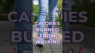 How many calories do you lose walking | كم سعر نفقد من المشي