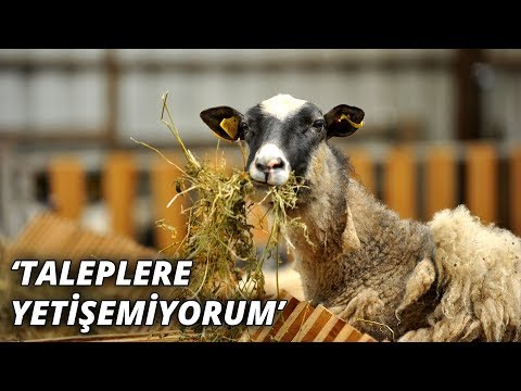 Video: Namazda Bir Saat Nasıl Geçirilir: 6 Adım (Resimlerle)