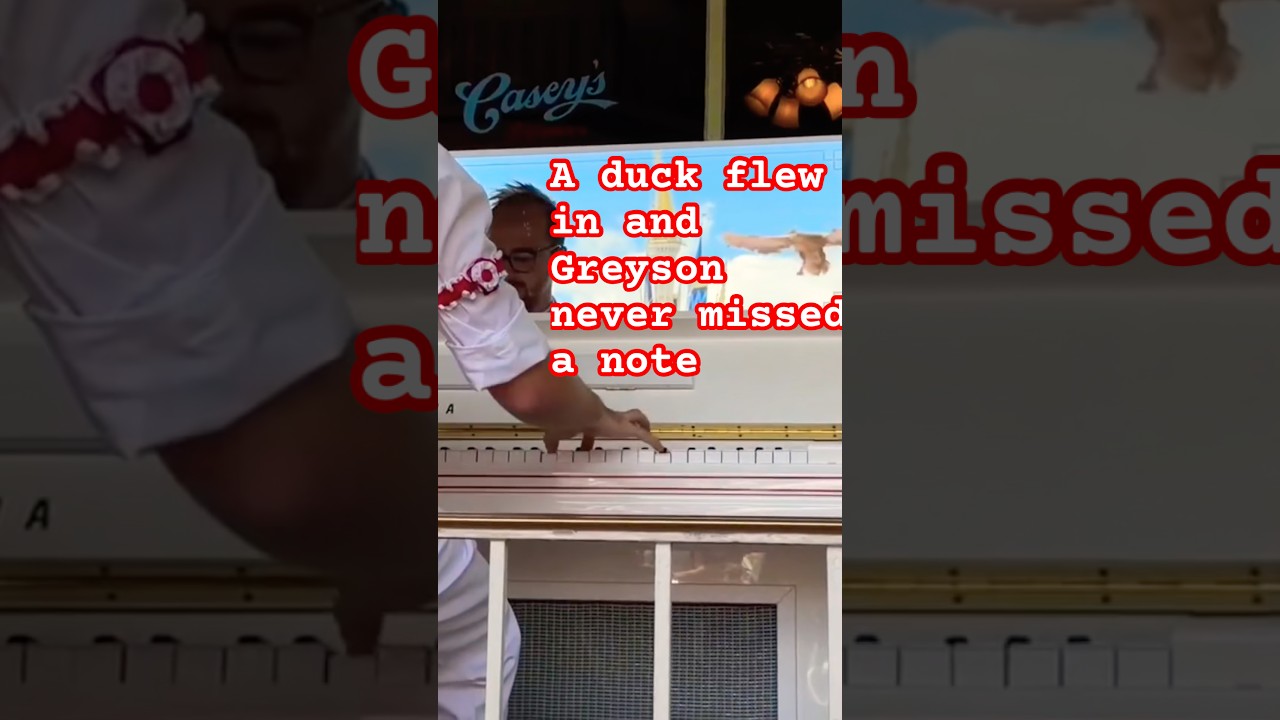 A Duck Flew In and Grayson Never Missed a Note #disney #wildlife #ducks