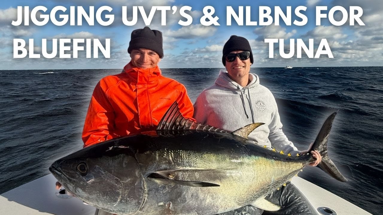 Jigging UVT's & NLBN's for Bluefin Tuna