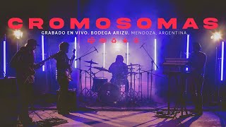 Qüassi - Cromosomas Live Bodega Arizu