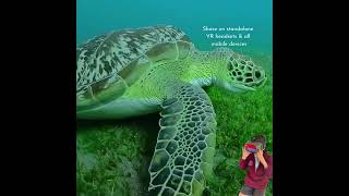 Virtual Reality easy to use software - for creators
