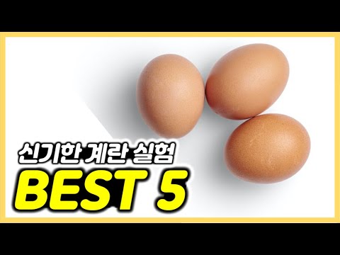 Amazing Egg Experiment You Can Follow At Home BEST 5