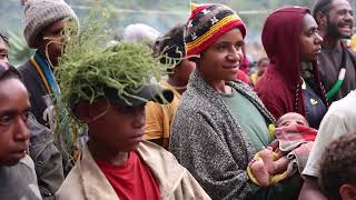 Gembogl String Band 2024