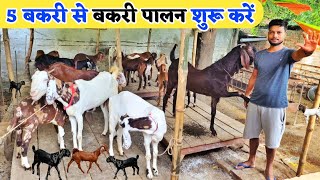 कम खर्च में बकरी पालन कैसे करें | Kam kharch me goat farm kaise banaye | Goat farming