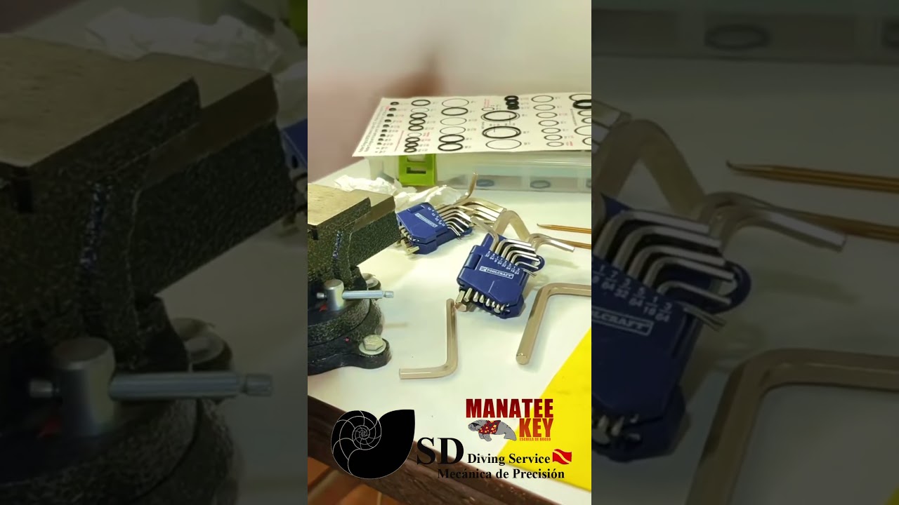 Servicio equipos de buceo. Curso para técnicos.