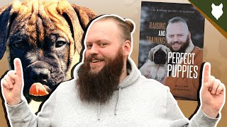 How To Have A Perfect BULLMASTIFF by Will Atherton Bullmastiff Show 721 views 3 years ago 1 minute, 16 seconds