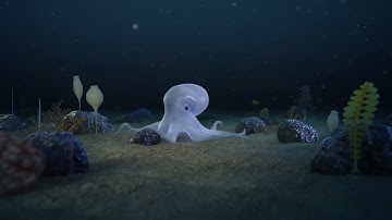 Stop Deep Sea Mining