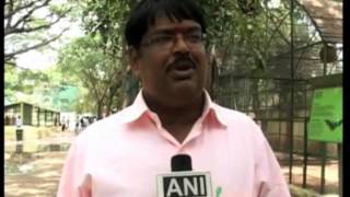 18 Sep, 2012 - Visitors Throng Zoo In Indias Southern State To Catch Glimpse Of Rare Cobra