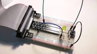 Celebrity Raspberry pi module 4 assigment Wealth