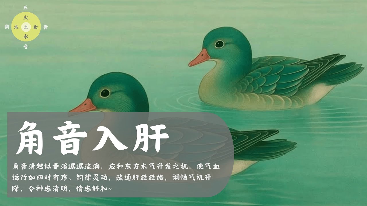角音入肝 - 角音清越似春溪潺潺流淌，应和东方木气升发之机~.  静心,安神,舒缓,养生,疗愈,缓解焦虑,五行,Healing,入心,调心,安心,调脾,消化,Asian Relax,解郁,生机