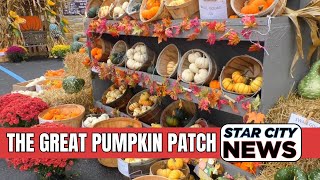 Great Pumpkin Patch Returns to Congress Street United Methodist Church