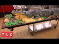 Making a 14-Foot Alligator Cake! | Cake Boss