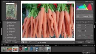 Working Efficiently with Virtual Copies, Stacking, and Snapshots screenshot 5