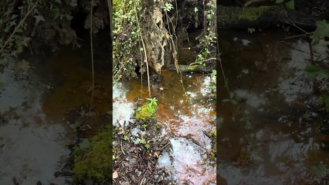 Sewage Leak number 48. 5 April 2023 