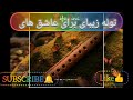توله زیبا که میگه از غمت ای نازنین 