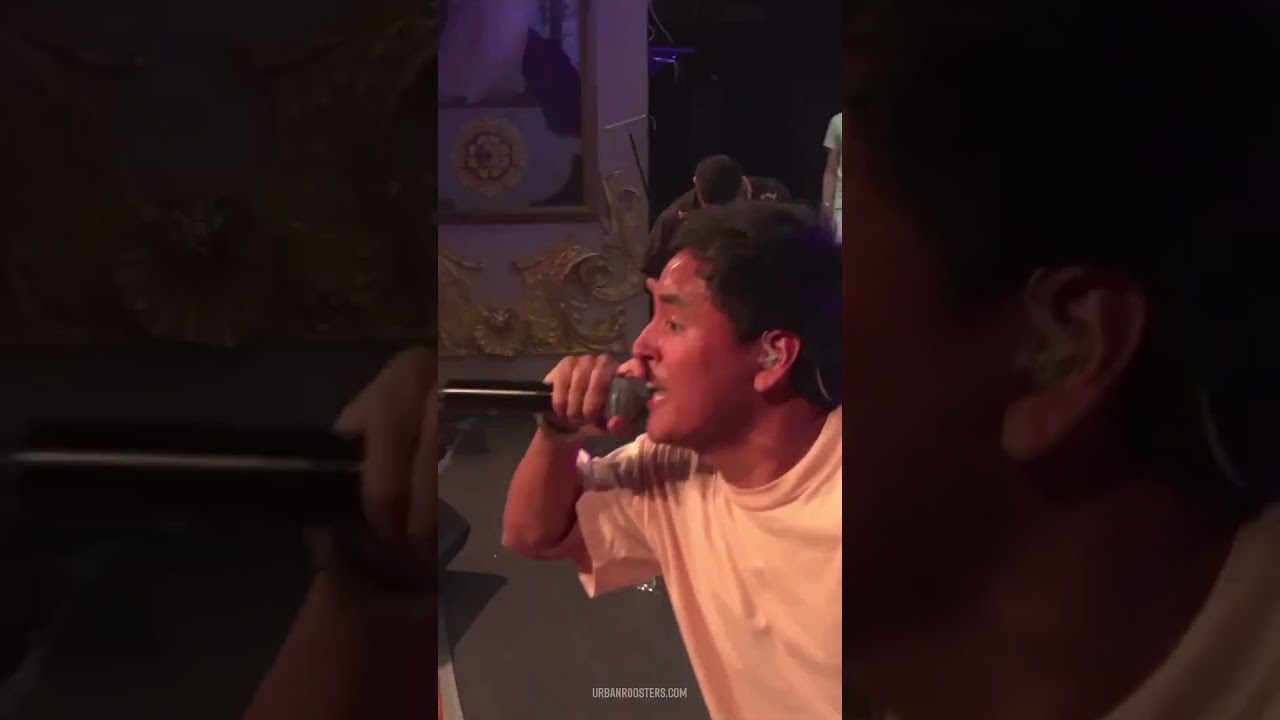 ''LA RATA SALTA DEL BARCO SI...'' 🐁🛥️