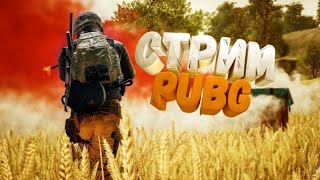 🔴СТРИМ!!! С НУЛЯ ДО ФУЛЛ 6 В МЕТРО РОЯЛЬ🔴