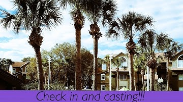 CHECK IN AND CASTING || DCP spring 2018