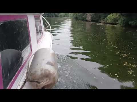 Berlin on a boat | Havel Adventures | 1st Take