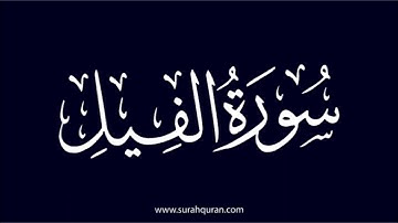 جزء عم // سوره الفيل // تدبر ومتشابهات // من هو عم الرسول الذى كان شديد العدواه للرسول