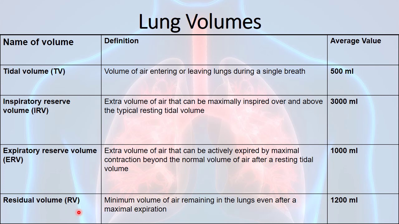 Lung Volumes And Capacities Chart