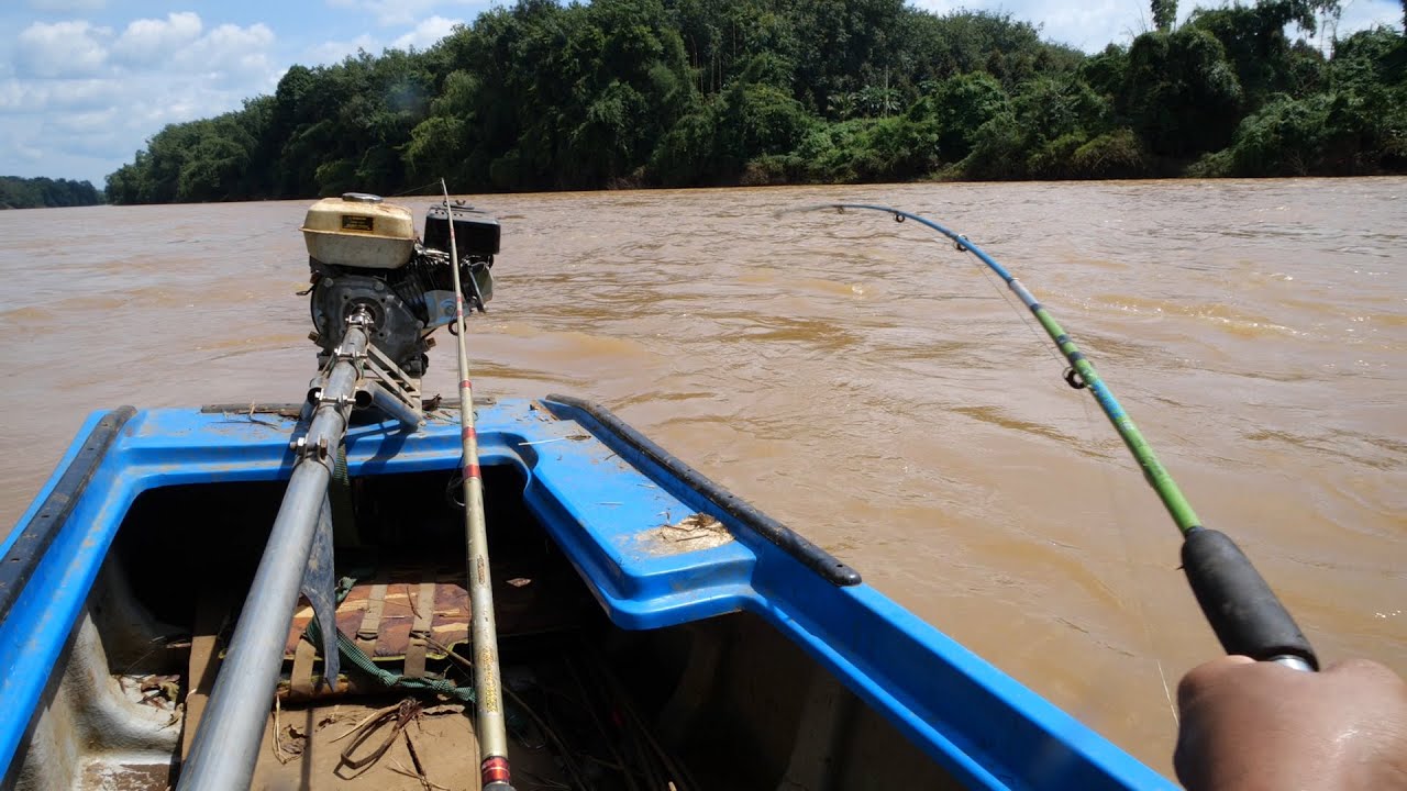 Lũ rút đi bào cá về kho nghệ ngon nhức nách ✅