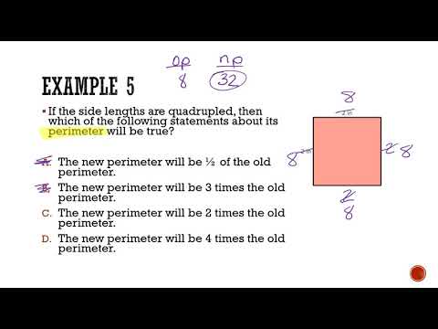 Perimeter & Area