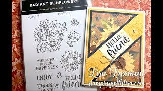 New!! Sunflower Fields Sneak Peek!!!