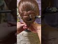 Cute Hair Stick Hairstyle Daily Style #CuteHairIdeas #HairStyleShorts