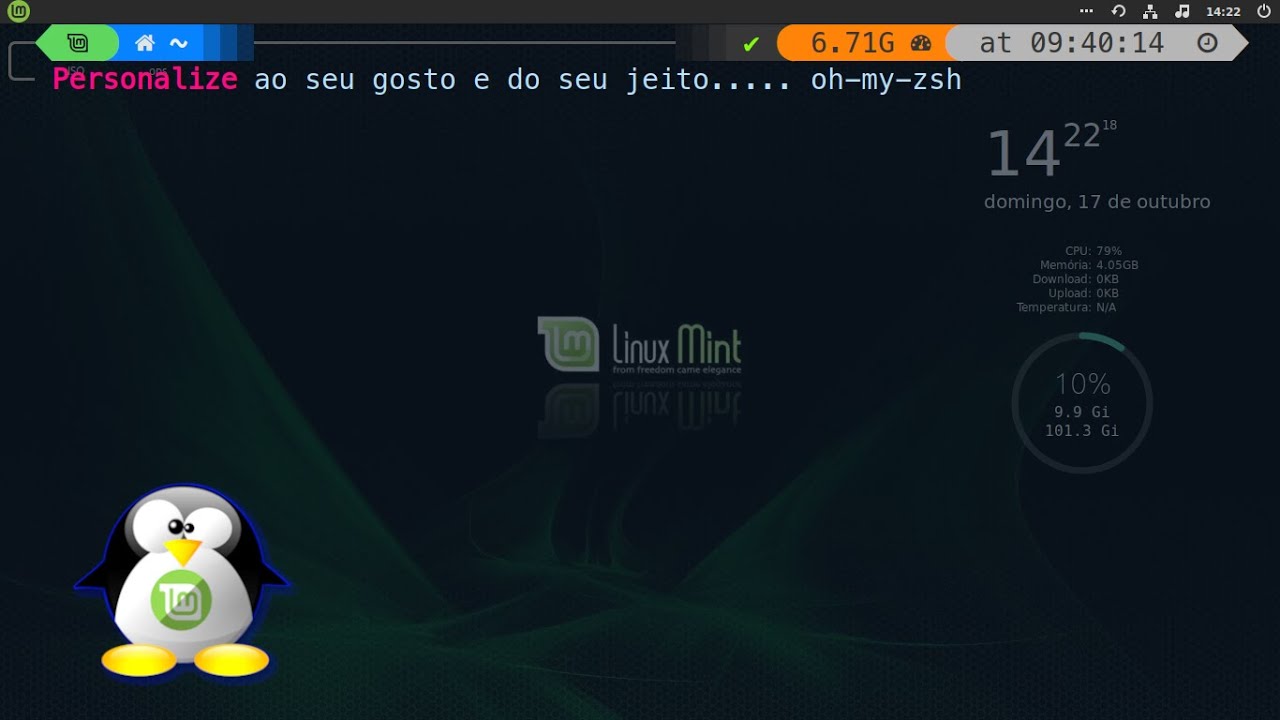 🔵 Personalizar Terminal com oh my zsh - YouTube