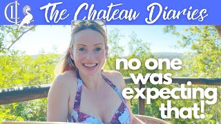 Sex & Babies: an X-rated Safari!! 🙈 - YouTube