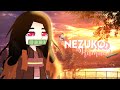 Past Hashira React To Nezuko Kamado || Spoiler Alert!¡
