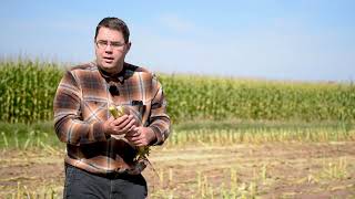 Better Than BMR" Corn Silage System screenshot 4