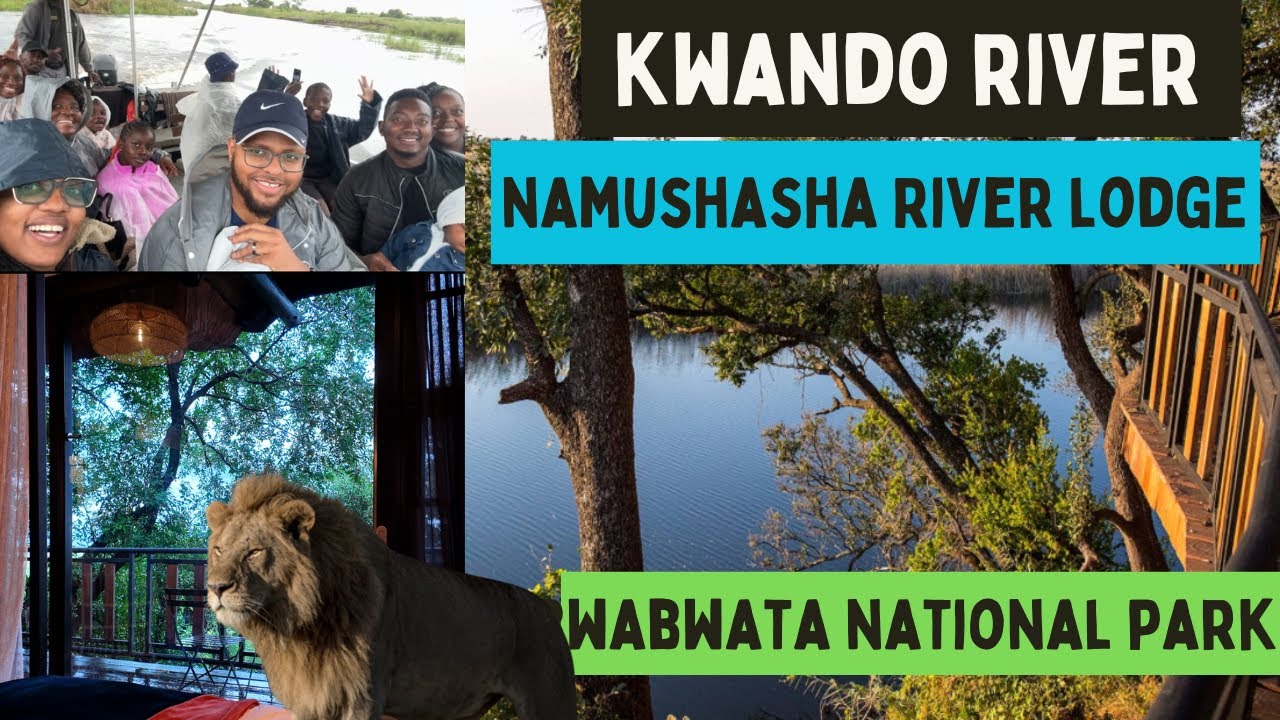 We Saw a lion Up Close! Family Trip at Namushasha River Lodge & Bwabwata National Park | Namibia